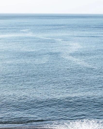 塔羅占卜｜2020年整體事業運