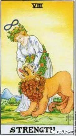 塔羅牌力量
