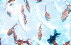 「日運系列」2020年3月9日十二星座運勢