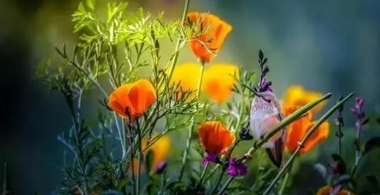 從3月中旬開始，好事臨門，節節攀升，勢如破竹的三大星座