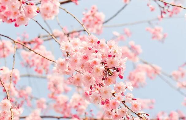 謀定而后動：三月下旬重要星象盤點