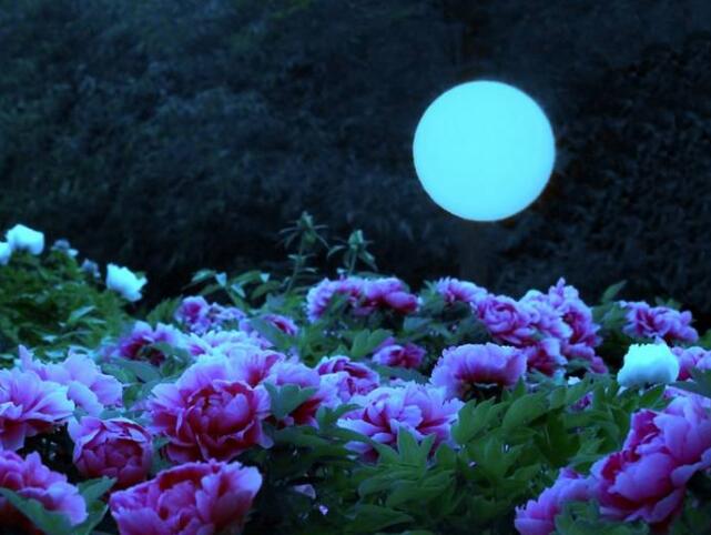 占卜四月你的愛情轉折點是什么？