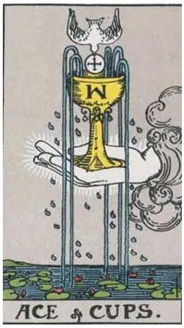 塔羅牌 圣杯首牌