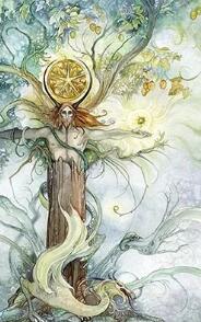 塔羅牌占卜你跟他還會不會在一起?