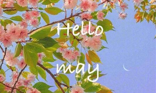 五月誰的桃花運最旺？