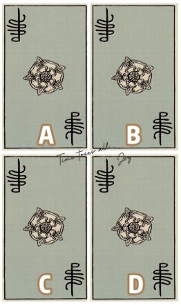 塔羅牌占卜：Ta是真的高冷嗎？