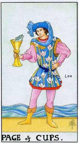 塔羅牌圣杯侍衛(正位/逆位)牌意解讀