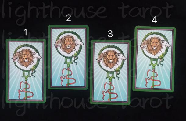 塔羅測試他偷偷關注我嗎?有沒有喜歡的人