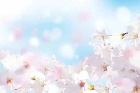 七月份十二星座運勢（上）