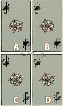 塔羅占卜未來老公的職業 他的事業心多重?