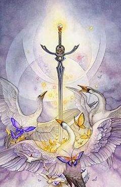 塔羅牌測我倆結局是什么 看看愛情有沒有結果!