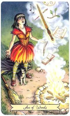 塔羅占卜我倆未來關系 看看你們的感情發展