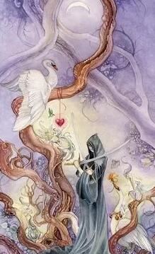 塔羅牌占卜我和他的結局 看看最后的結果