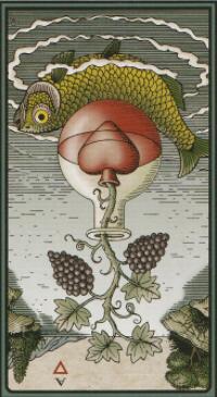 塔羅他會主動找我嗎?我們會和好嗎