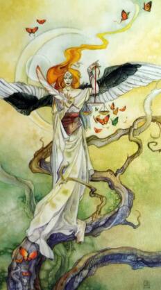 塔羅占卜三年后會有多富有