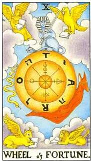 塔羅占卜前任恨我嗎