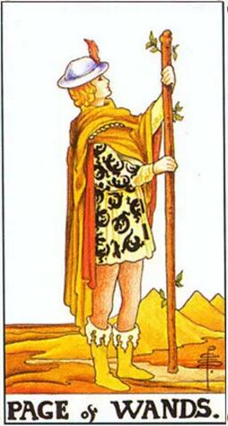 塔羅牌權杖侍者正位/逆位愛情事業財運解讀