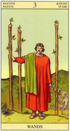 塔羅測試我什么時候結婚,看看我婚姻走向