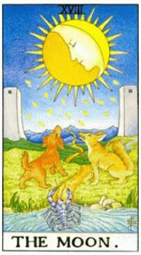 塔羅占卜他離開我的原因(塔羅他有話對我說)