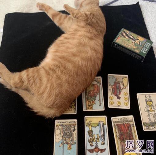 塔羅牌能信嗎?塔羅牌可以信嗎