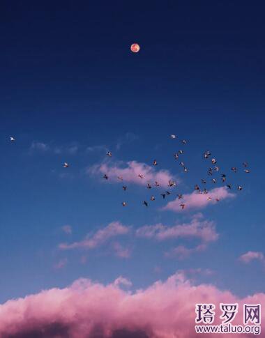 新手塔羅牌入門教程