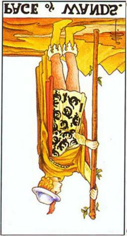 塔羅牌權杖侍者正位/逆位愛情事業財運解讀