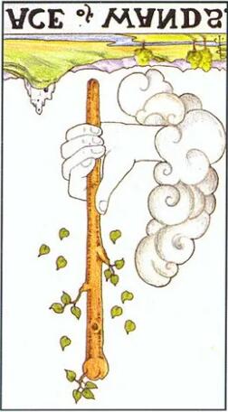 塔羅占卜2021能脫單嗎