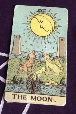 塔羅他為什么不理我，感情危機如何化解