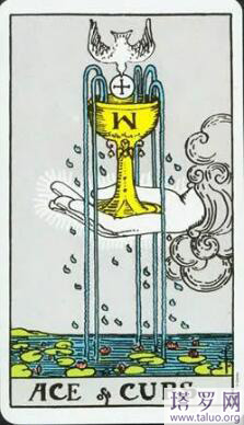 塔羅占卜我倆未來關系超準