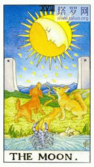 塔羅舊愛內心的想法,緣分能重新續上嗎？