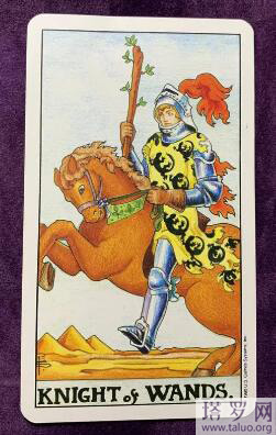 塔羅測試賺錢能力,你的吸金能力多強