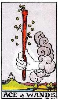 權杖牌組的含義 14張權杖牌組含義解讀