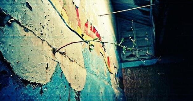 塔羅占卜近7天感情運勢