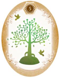 塔羅占卜未來會發生什么