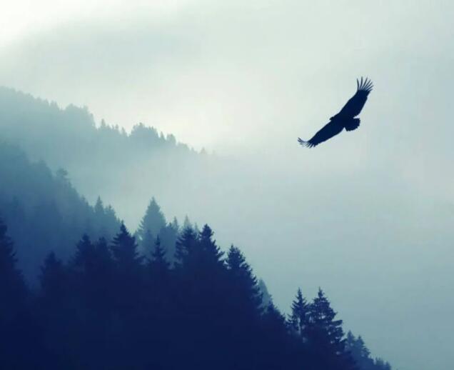 命理說：對方提分手到底要不要挽回？