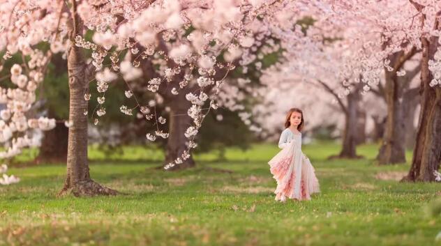 塔羅占卜你們的緣分結束了嗎？他舍得離開我嗎