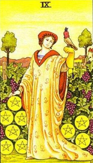 塔羅牌星幣九正位、逆位解析