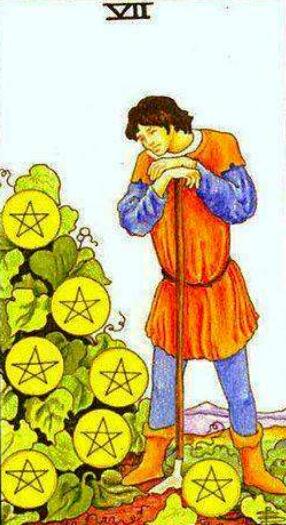 塔羅牌星幣七正位、逆位解析