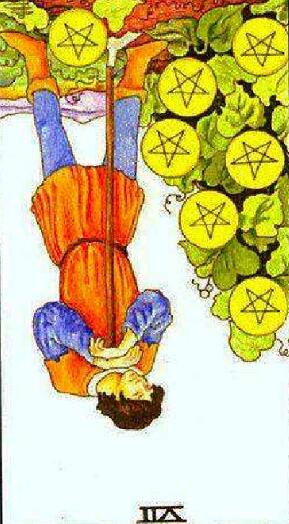 塔羅牌星幣七正位、逆位解析